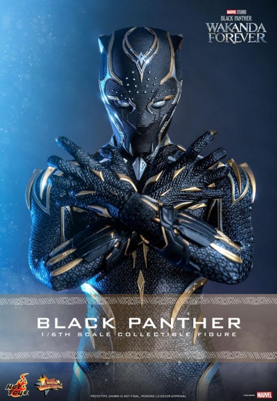 Hot Toys Black Panther (Wakanda Forever) Sixth Scale Figure 911962 MMS675 Marvel / Black Panther Wakanda Forver