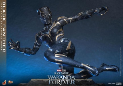 Hot Toys Black Panther (Wakanda Forever) Sixth Scale Figure 911962 MMS675 Marvel / Black Panther Wakanda Forver - Thumbnail