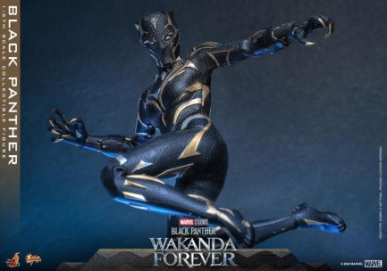 Hot Toys Black Panther (Wakanda Forever) Sixth Scale Figure 911962 MMS675 Marvel / Black Panther Wakanda Forver - Thumbnail