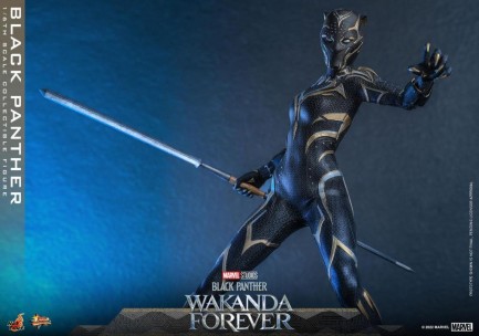 Hot Toys Black Panther (Wakanda Forever) Sixth Scale Figure 911962 MMS675 Marvel / Black Panther Wakanda Forver - Thumbnail