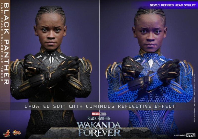 Hot Toys Black Panther (Wakanda Forever) Sixth Scale Figure 911962 MMS675 Marvel / Black Panther Wakanda Forver