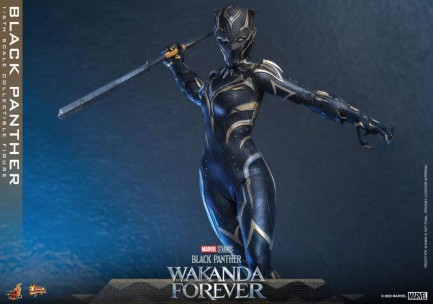 Hot Toys Black Panther (Wakanda Forever) Sixth Scale Figure 911962 MMS675 Marvel / Black Panther Wakanda Forver - Thumbnail