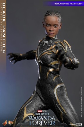 Hot Toys Black Panther (Wakanda Forever) Sixth Scale Figure 911962 MMS675 Marvel / Black Panther Wakanda Forver - Thumbnail