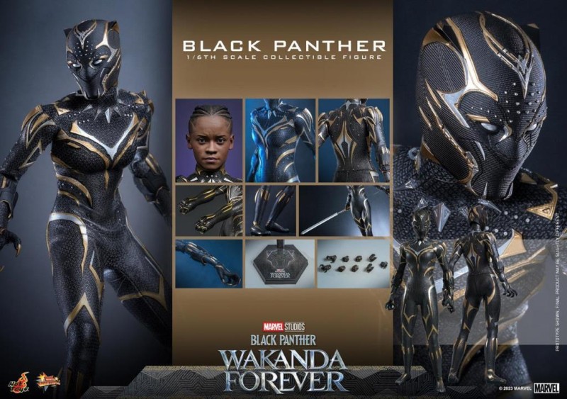 Hot Toys Black Panther (Wakanda Forever) Sixth Scale Figure 911962 MMS675 Marvel / Black Panther Wakanda Forver