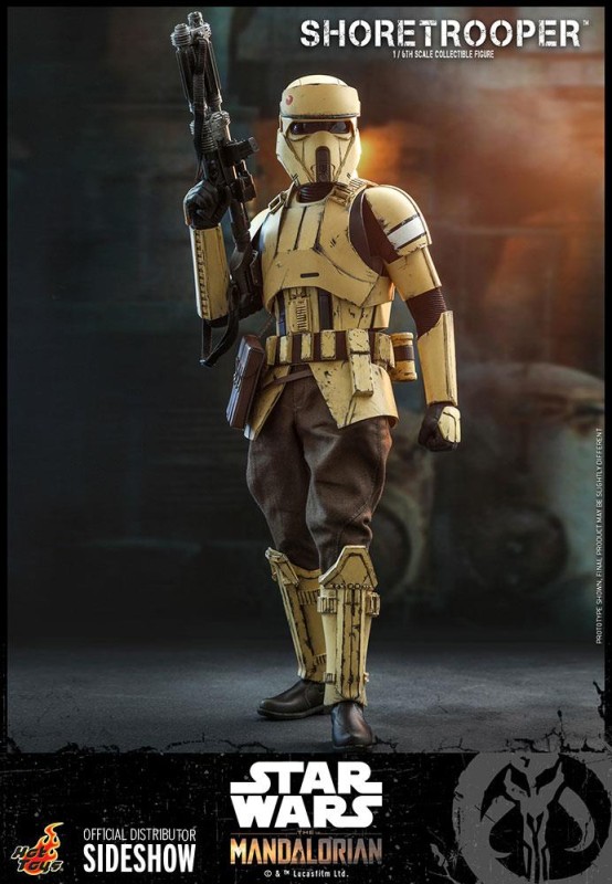 Hot Toys Shore Trooper Sixth Scale Figure TMS Star Wars: The Mandalorian 907515