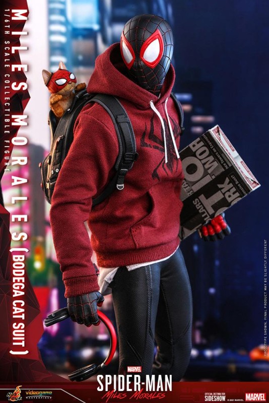 Hot Toys Spider-Man Miles Morales ( Bodega Cat Suit ) Sixth Scale Figure VGM50 908143