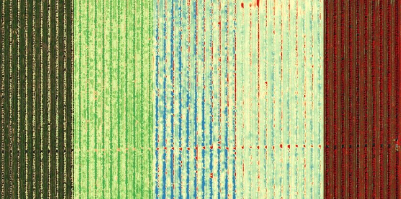 MicaSense ALTUM-PT Agricultural Tarımsal Termal + Multispectral + RGB Kamera