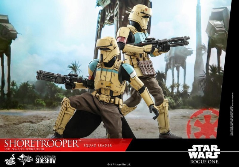 Hot Toys Shoretrooper Squad Leader Sixth Scale Figure 907516 MMS592